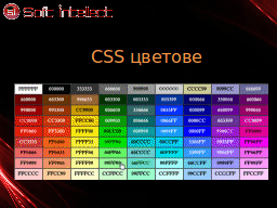 Slide 11